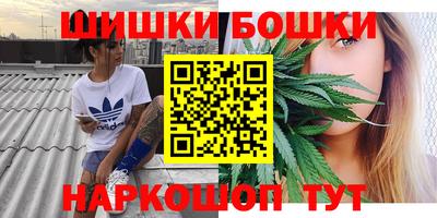 крисы Белореченск