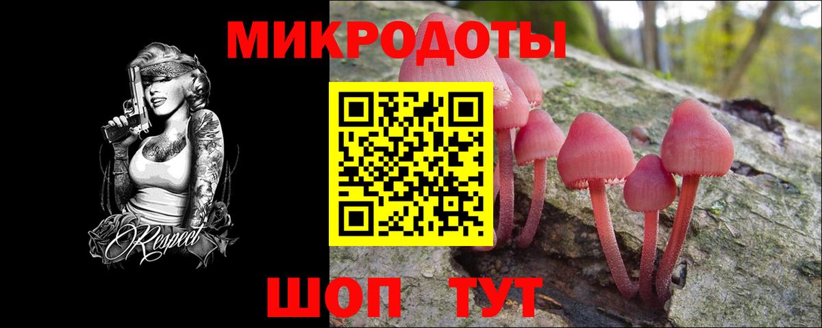 Богданович  Галлюциногенные грибы Cubensis  Вход с VPN 
